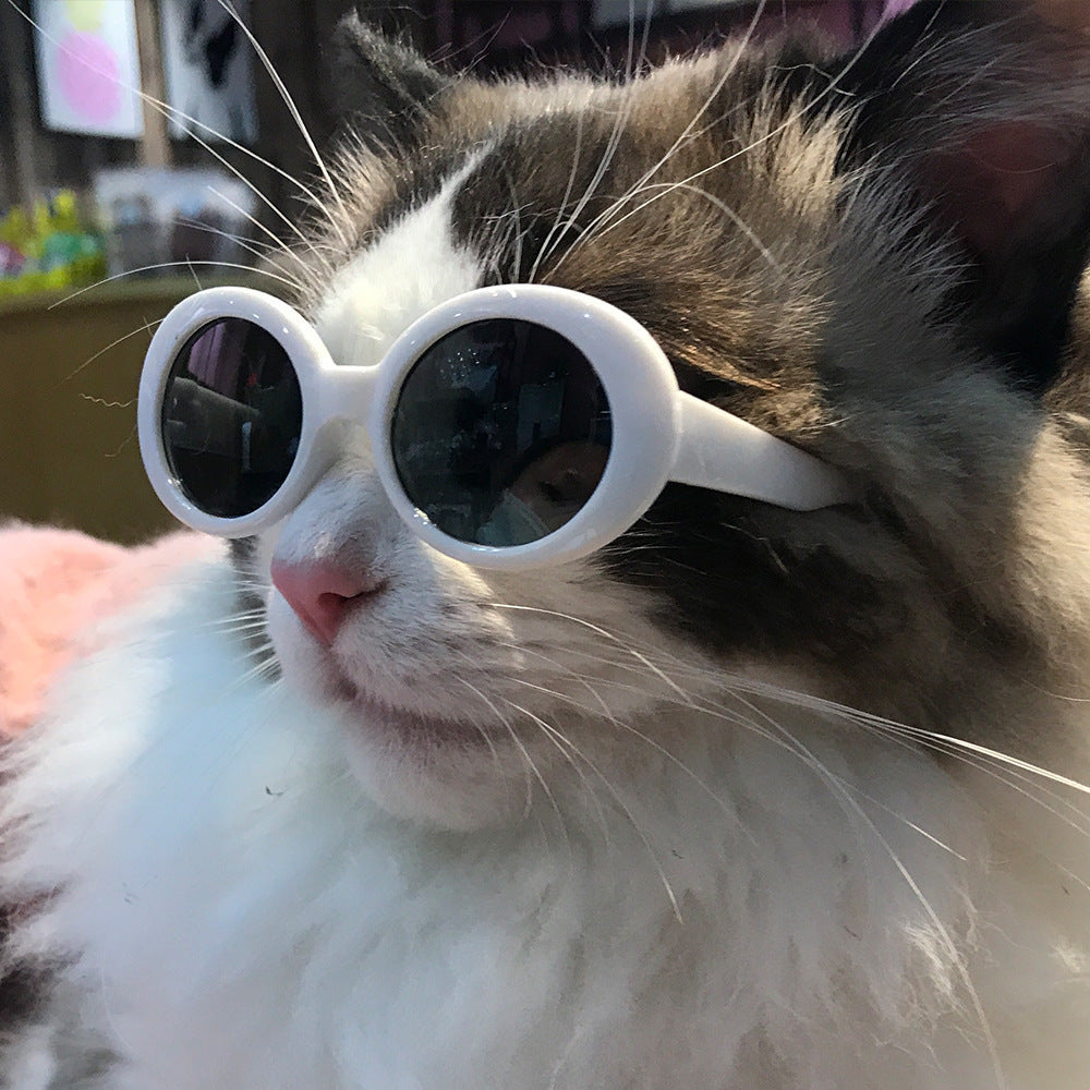 Pet Dog Cat Multi-color Sunglasses