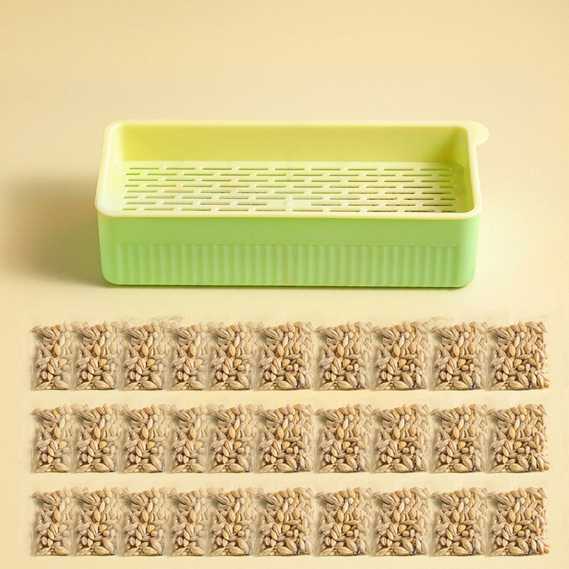 Hydroponic Cat Grass Box