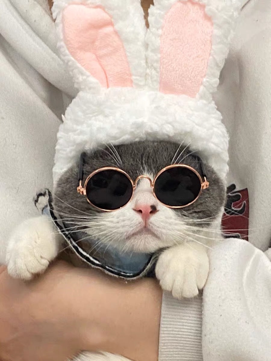 Cat Lion Headgear Cat Hat