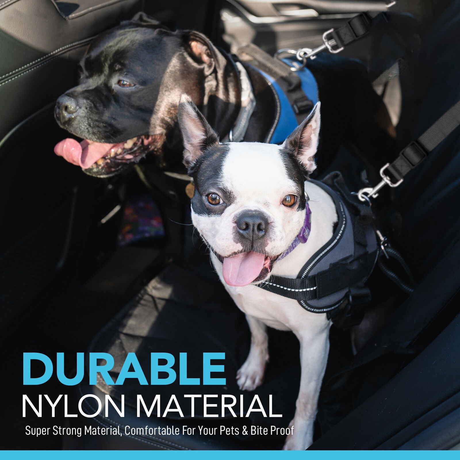 Nylon Retractable Dog Safety Rope Pet