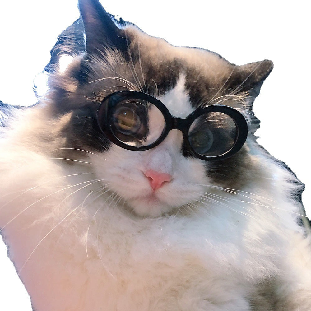 Pet Dog Cat Multi-color Sunglasses