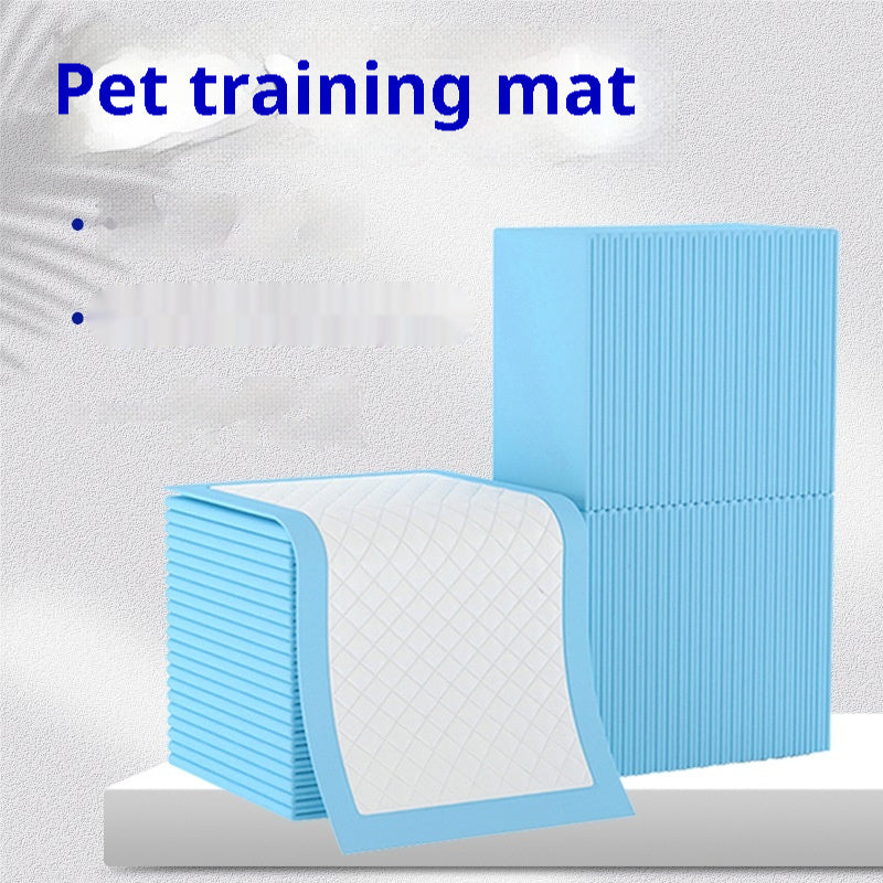 Thick Protection Mat Water Leak-proof Deodorant