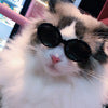 Pet Dog Cat Multi-color Sunglasses