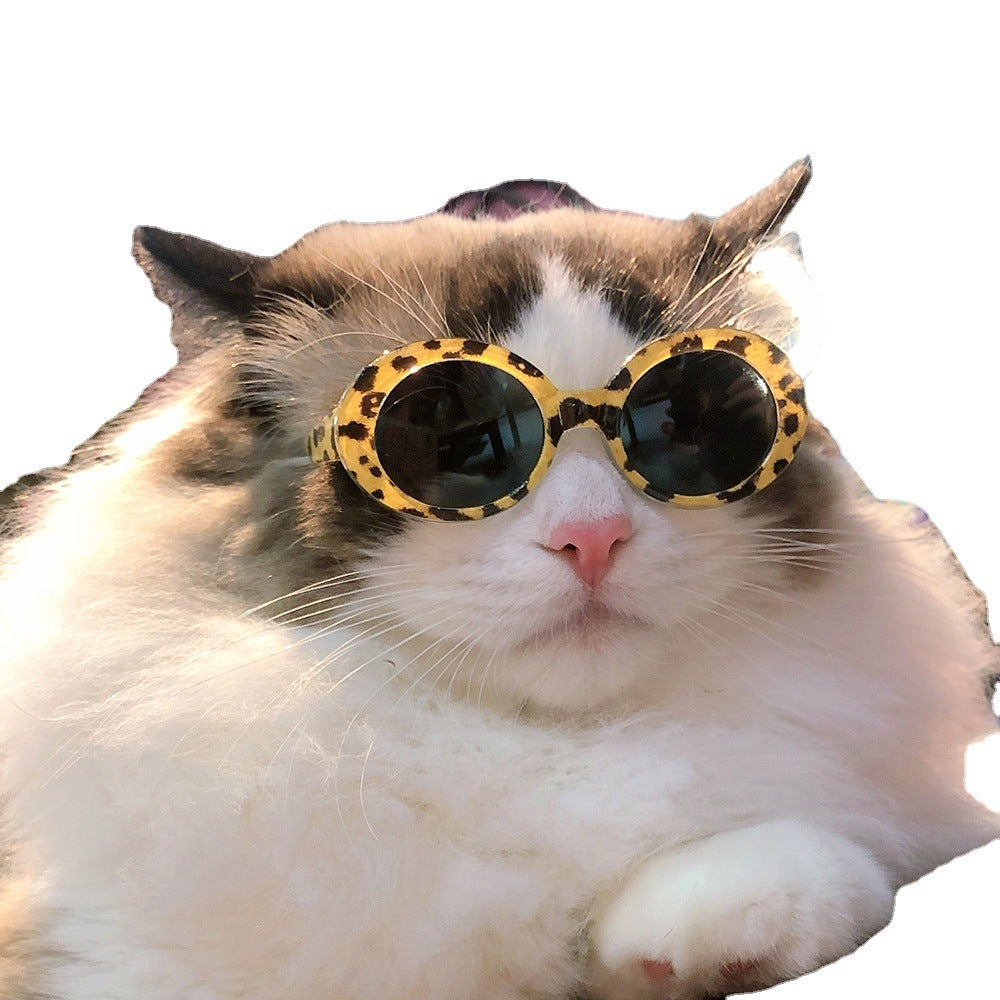 Pet Dog Cat Multi-color Sunglasses