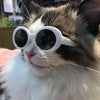 Pet Dog Cat Multi-color Sunglasses