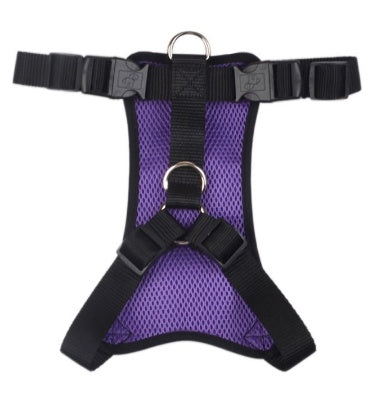 Pet Car Seat Belt