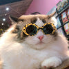 Pet Dog Cat Multi-color Sunglasses