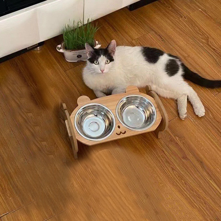 Kittens Porcelain Bowl