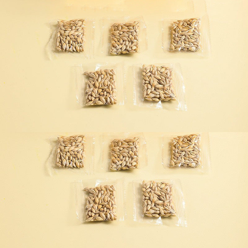 Hydroponic Cat Grass Box