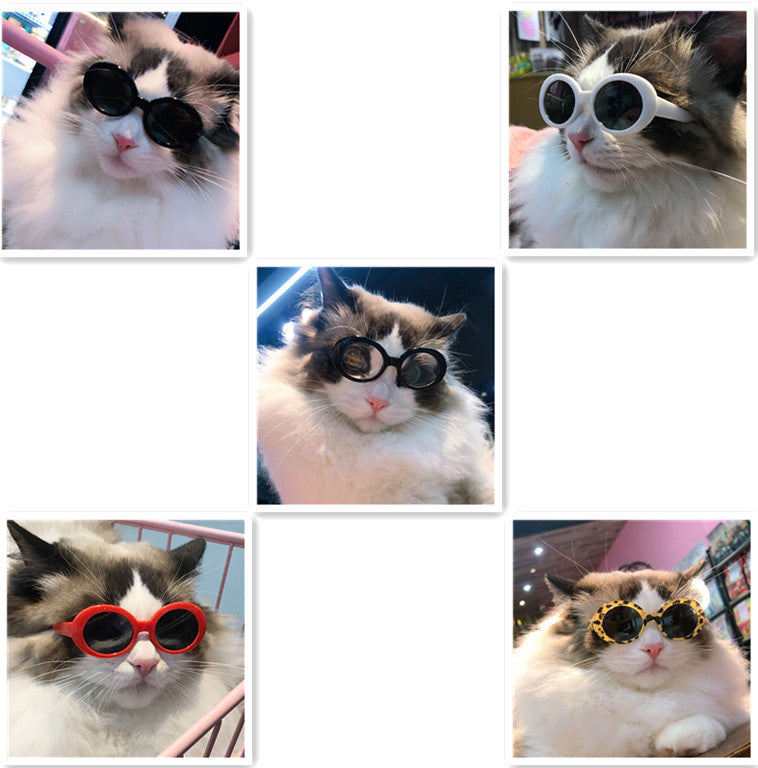 Pet Dog Cat Multi-color Sunglasses