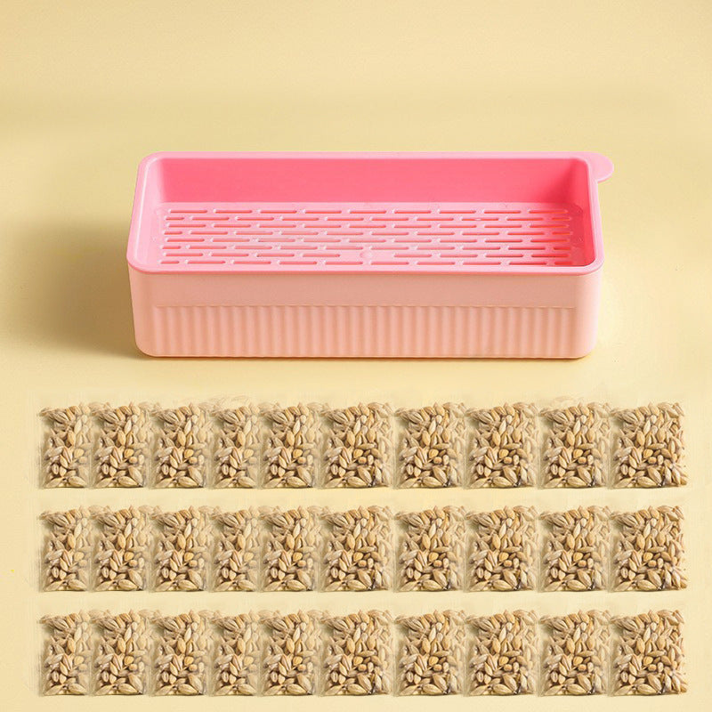 Hydroponic Cat Grass Box