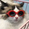 Pet Dog Cat Multi-color Sunglasses