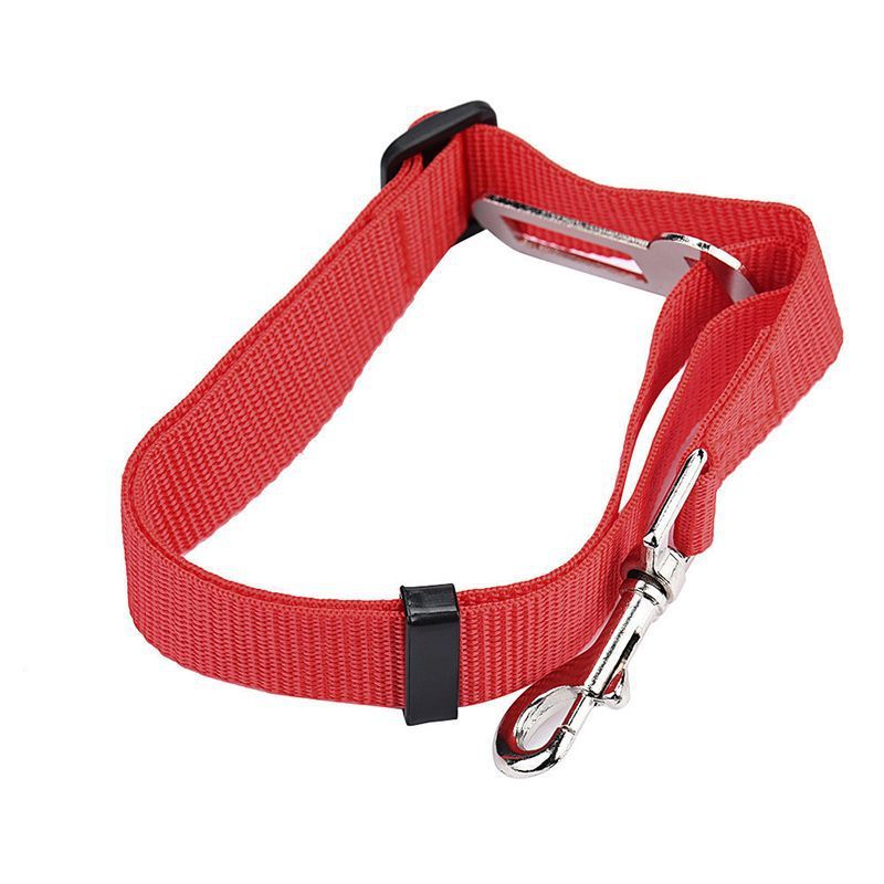 Nylon Retractable Dog Safety Rope Pet